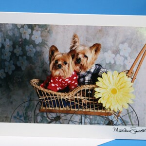 Biglietto di auguri fotografico con cane