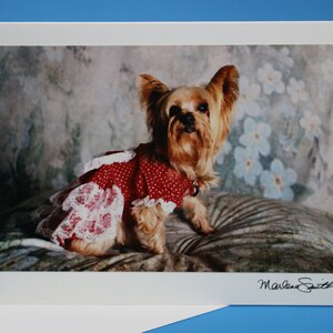 Biglietto di auguri fotografico con cane