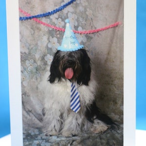 Biglietto di auguri fotografico per il compleanno del cane