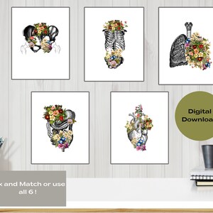 Abstract Anatomy Printable Wall Art,Modern Minimal Decor, Great for Office/Dorm Room,Best Gift for Scientists, Nurses, Doctors, and Students