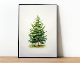 Watercolor Spruce Tree, Watercolor Conifer Tree | Wall Art | Digital Download