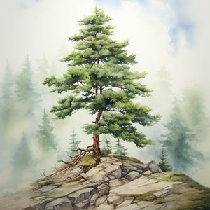 May include: A single pine tree stands tall on a rocky cliff, surrounded by a misty forest. The tree's branches reach out towards the sky, and its roots are visible on the cliff face. The scene is painted in watercolor, with soft, muted colors.