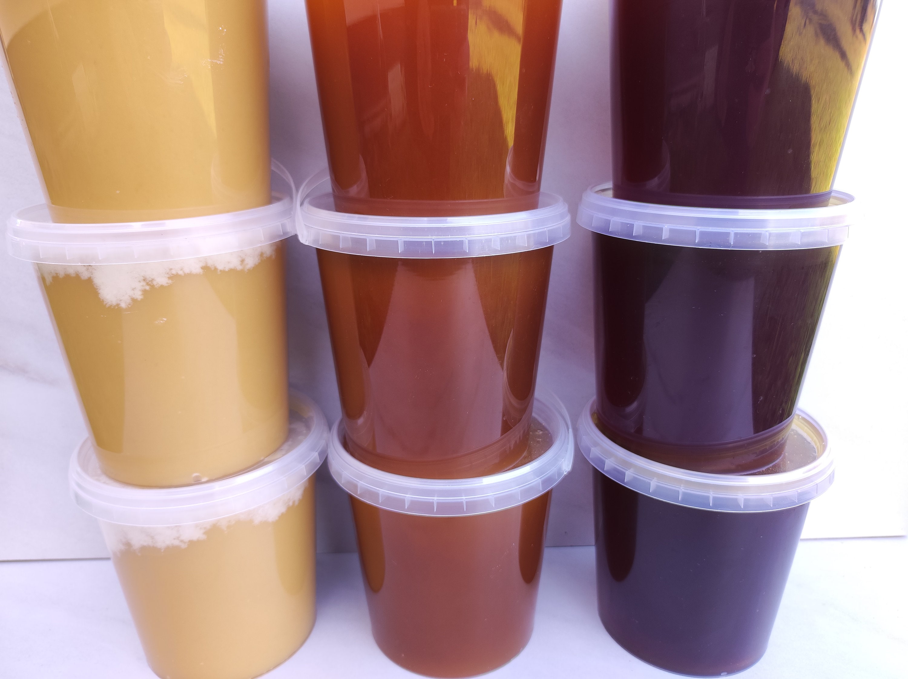 Wild Honey | Pure, Raw, Small Apiary, Unheated 2023 from Lithuania | 1kg/ 2,2lb
