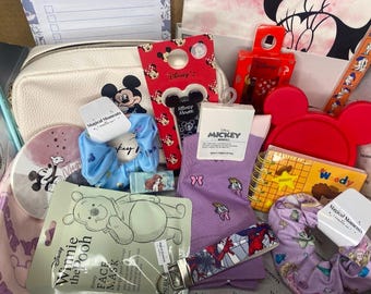Disney surprise package