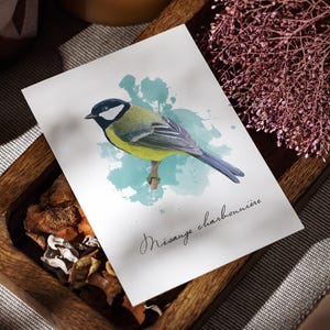 Carte postale Mésange Charbonnière