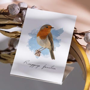 Carte postale Rouge Gorge