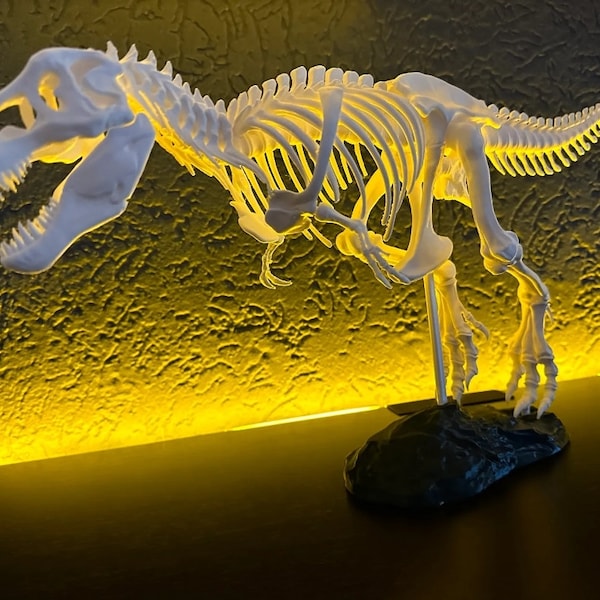 Model/decoratie skelet T-Rex
