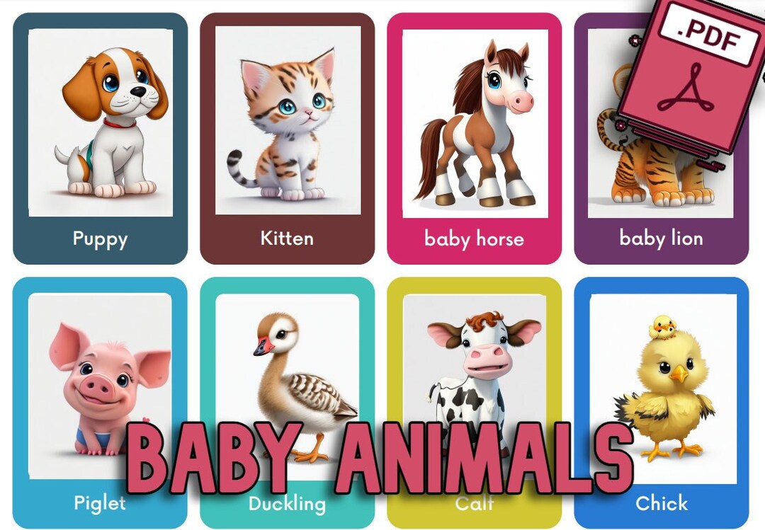 BABY ANIMALS 24 Montessori Cards Flash Cards Nomenclature Flashcards ...