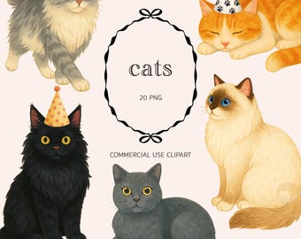 Lets Pawty Cats Clipart: Kitten Purrfect Birthday Calling All Pawty Animals (PNG Digital Download)