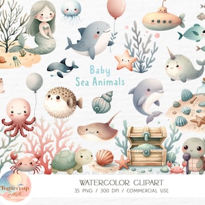 35 Clipart di cuccioli di mare in formato PNG con acquerello, download digitale / Clipart di simpatici animali sottomarini / Clipart di vita marina di compleanno sotto il mare