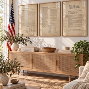 May include: Three framed historical documents, including the Declaration of Independence, the Constitution, and the Bill of Rights, displayed above a light wood sideboard with cane cabinet doors, next to an American flag on a pole.