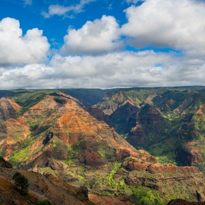 May include: A panoramic view of a canyon with layered rock formations in shades of brown, red, and green. Lush vegetation covers the canyon floor, and white clouds drift across a bright blue sky.