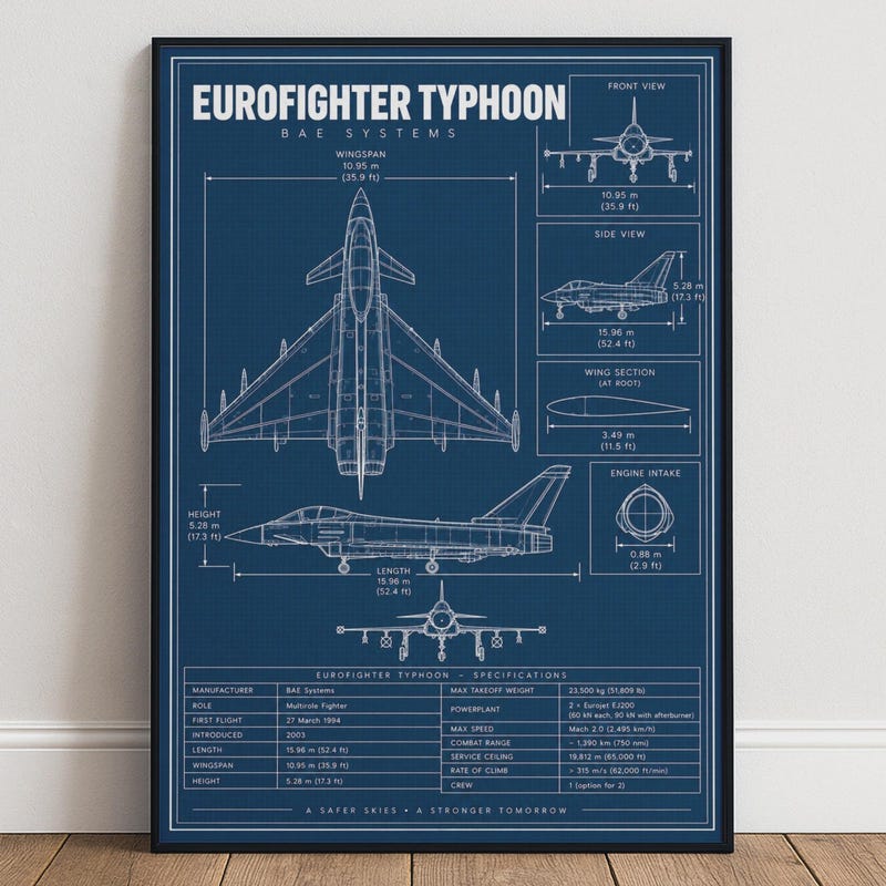Uk Raptors Guide Poster Raf - Etsy UK