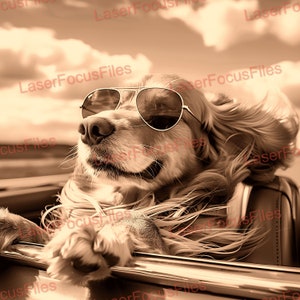 Laserbranden, png-bestand | 3D-illusie | Lasergesneden bestand | Lasergraveerbestand | Digitaal laserontwerpbestand | Coole hond rijden in een auto | Grappige hond | Laboratorium