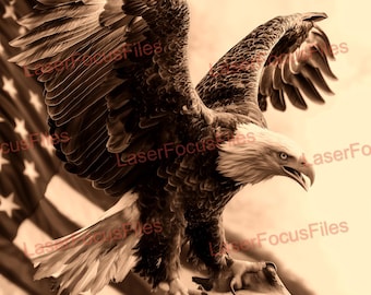 3D Illusion | Laser Burn PNG | Laser Cut File | Laser Engrave File | Laser Digital Design File | Bald Eagle | Patriotic | American | USA