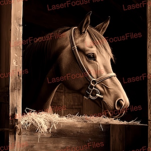 Laser-Gravur-Datei | Laser Brennen PNG | 3D Illusion | Laser-Schnitt-Datei | Laser Digitales Design Datei | Pferd im Stall | Cowboyhut | Cowgirl | Bauernhof