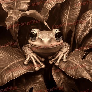 May include: A close-up of a brown frog with large, dark eyes, sitting on a bed of large, brown leaves. The frog is looking directly at the camera.
