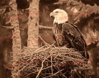 Archivo cortado con láser / Ilusión 3D / PNG quemado con láser / Archivo grabado con láser / Archivo de diseño digital con láser / Nido de águila calva / Estadounidense / Patriótico