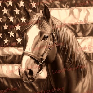 May include: A close-up of a brown horse's head with a white star on its forehead. The horse is wearing a brown leather halter and is looking directly at the viewer. The background is a faded American flag.