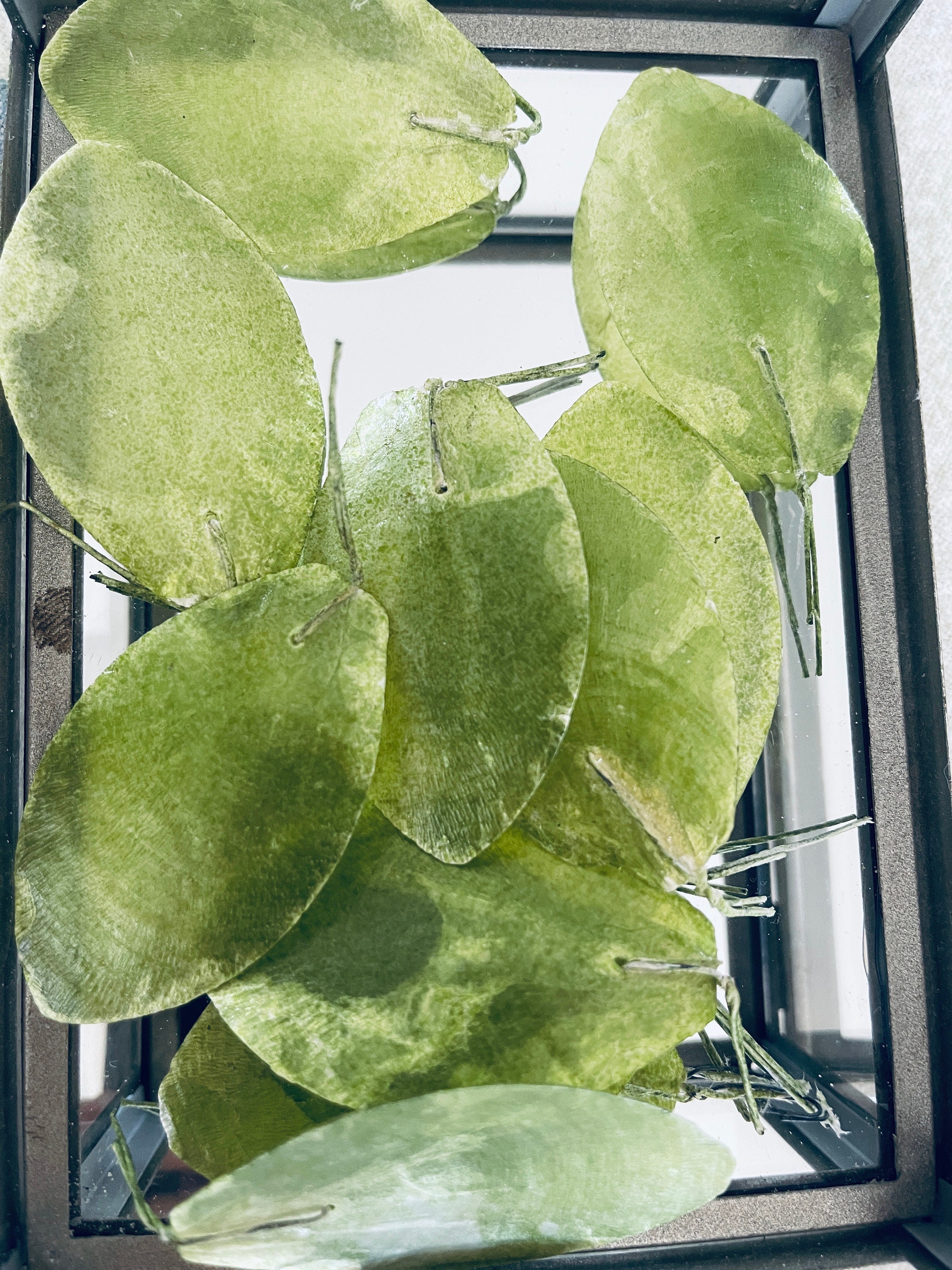 Vintage Glass Box With Shell Flowers and Leaves - Etsy