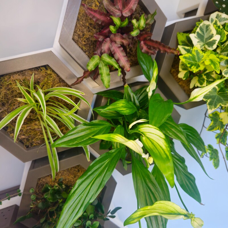 Hexagon Wall Planter - Etsy