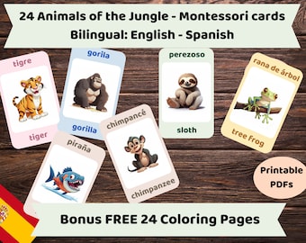 Bilingual (English - Spanish) Montessori Flashcards - set of 24