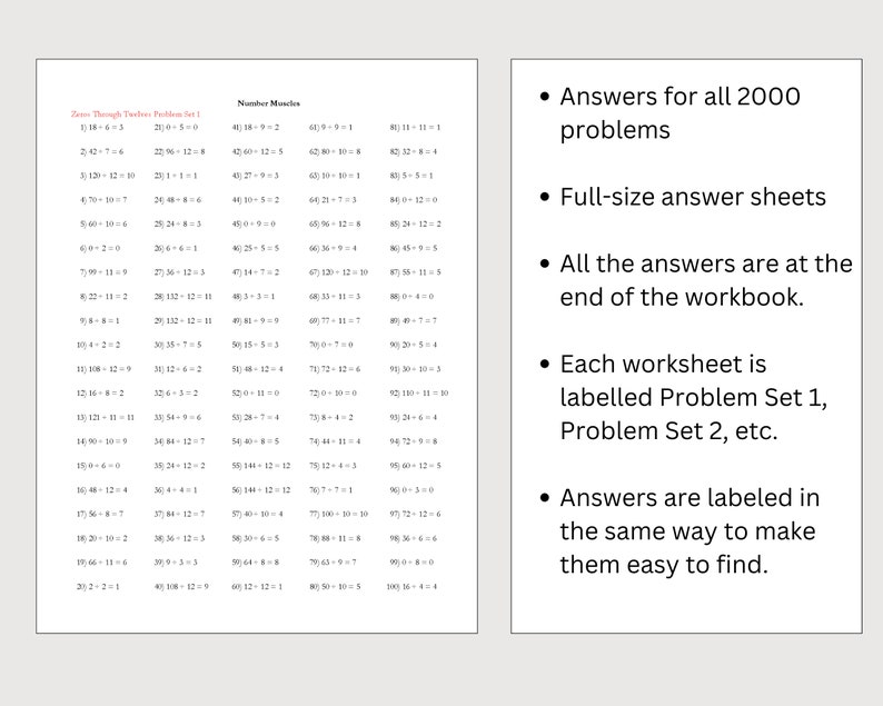 20 Division Instant Download Printable Worksheets, Third Grade Math