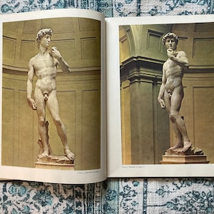 Vintage Renaissance Michelangelo Art Book 1970s, Michelangelo by Nicholas Wadley With Color Illustrations