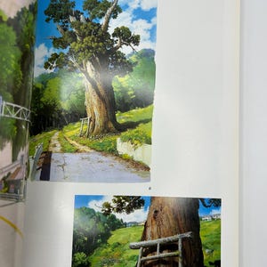 May include: Two illustrations of a large tree with a weathered trunk and green foliage. The first image shows the tree next to a dirt road and a small gate. The second image is a close-up of the tree trunk and a wooden gate.