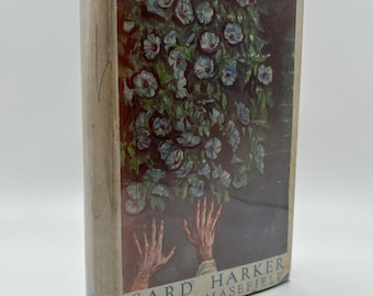 Vintage äventyrsroman från 1920-talet, Sard Harker av John Masefield, första upplagan, amerikansk litteratur med skyddsomslag, sällsynt samlarbok