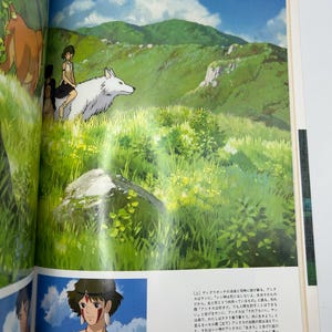May include: A book page featuring a vibrant anime illustration of a person riding a large white wolf through a lush green grassy hillside under a blue sky. Below, a smaller inset shows a close-up portrait of the same person with red face markings.