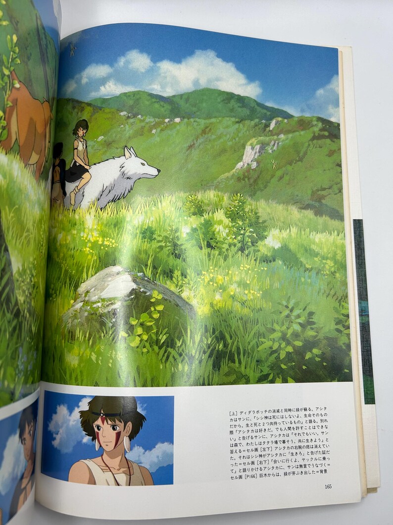 May include: A book page featuring a vibrant anime illustration of a person riding a large white wolf through a lush green grassy hillside under a blue sky. Below, a smaller inset shows a close-up portrait of the same person with red face markings.