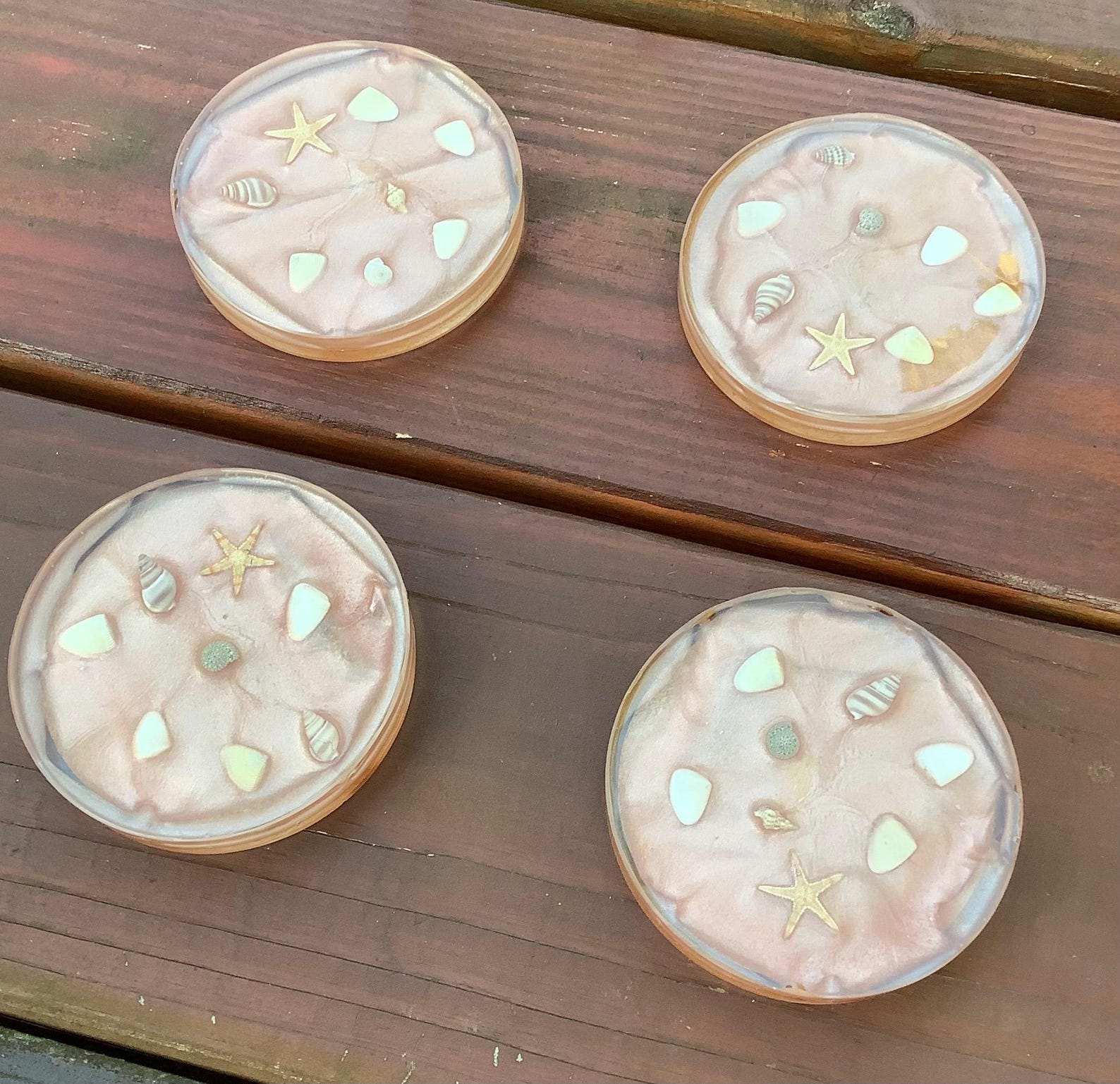 Shell Rim Coasters Shells on the Beach Coasters - Etsy