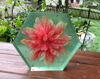 Coral Dahlia Hexagon Resin