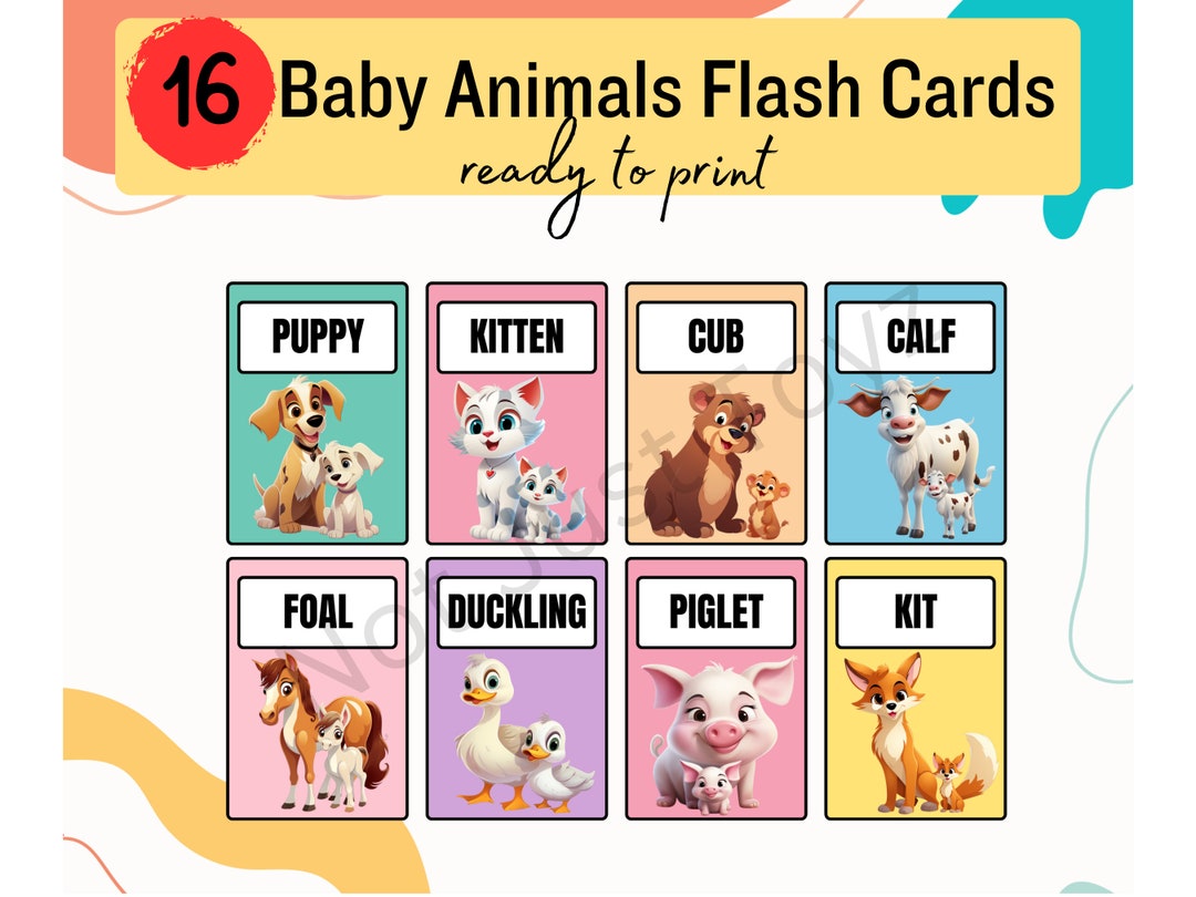 16 Baby Animals Flash Cards Baby Animals Printable Flash Cards Digital Baby Animals Flash Cards