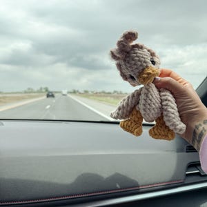 May include: A handmade crochet bird in shades of beige and tan, with a yellow beak and feet. The bird is held up against a cloudy sky and a highway in the background. The bird is a soft, plush toy.