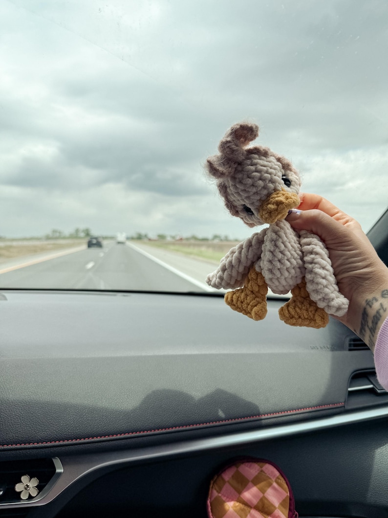 May include: A handmade crochet bird in shades of beige and tan, with a yellow beak and feet. The bird is held up against a cloudy sky and a highway in the background. The bird is a soft, plush toy.