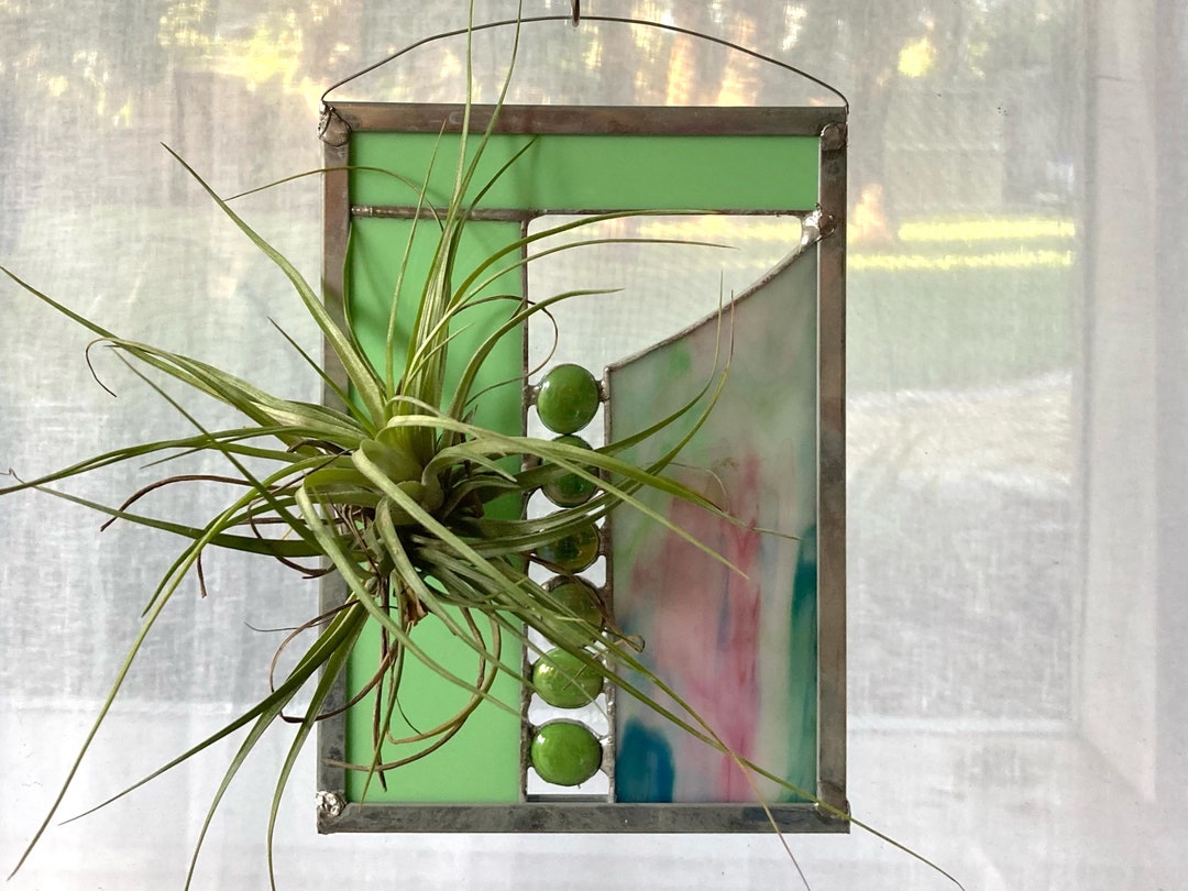 Air Plant Suncatcher Stained Glass Holder With Real Plant Etsy