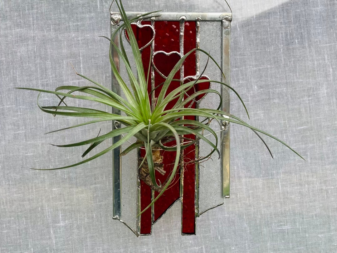 Stained Glass Air Plant Holder With Heart. Comes With LIVE PLANT