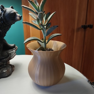 May include: A light brown ceramic planter with a ribbed texture, holding a small green succulent plant with fuzzy leaves.