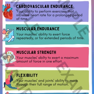 Health Related Components of Fitness Poster Health/Physical Education Poster