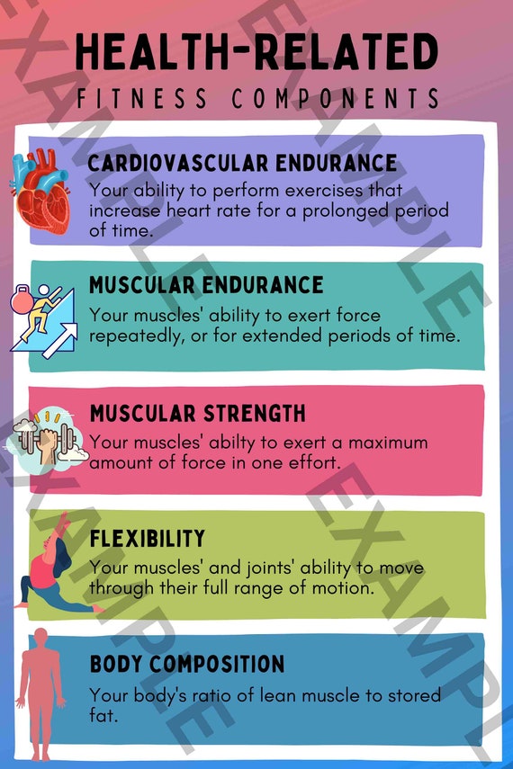Health Related Components of Fitness Poster Health/physical Education  Poster 