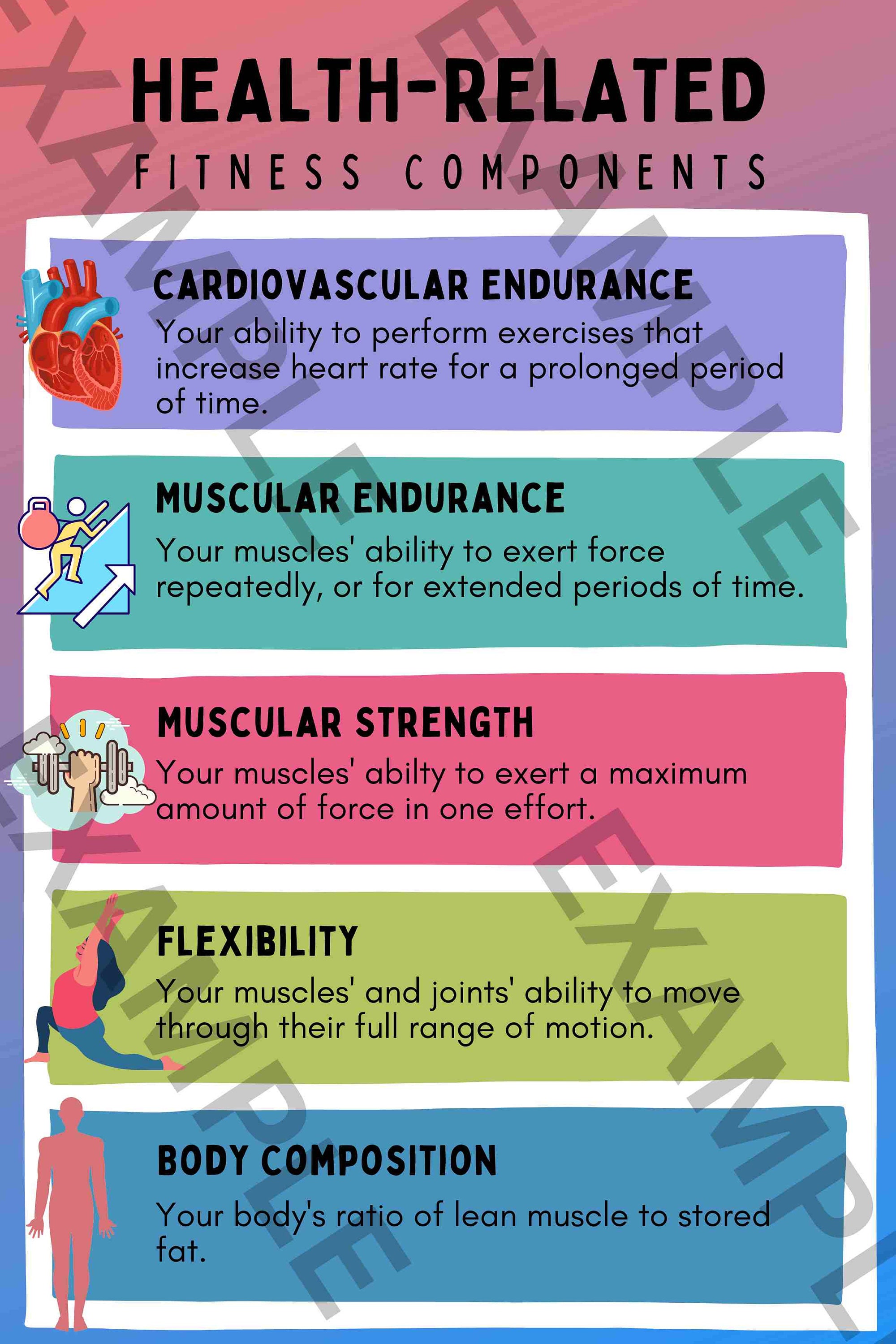 Health Related Components Of Fitness Poster Health/physical Education
