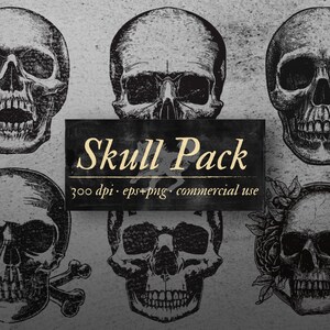 Skull Graphic Design Clipart Pack Vector and PNG