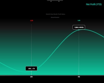 Professional Finances - Excel Budget Dashboard Pro Sheet Planner