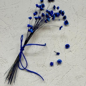 Star Flowers (Glixia) | Blue Star Flowers Bouquet | Dried Flowers for Bud Vase | DIY Crafts | Floral Arrangements | Home Decor