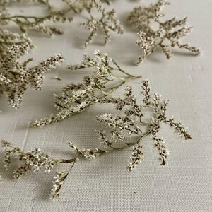 Peut inclure: Fleurs blanches séchées avec des tiges délicates et de petites fleurs blanches. Les fleurs sont disposées sur une surface blanche.