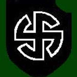 May include: Black and white symbol with a cross in the center and four curved lines around it. The symbol is on a black background.