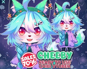 Premade Vtuber | Raccoon Chibi | Fursuit  | Live2d Model for Streaming | Full Rigging
