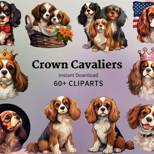 60+ Cavalier King Charles Spaniel PNGs | Perfekte Clipart für Einladungen, Memory Bücher, Hunde Blogs, Social Media Posts & DIY Haustier Handwerk